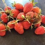 Bergerie De Lagarrigue Bed & Breakfast 3*