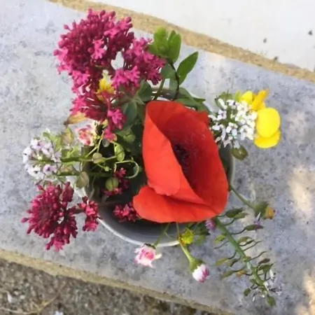 Bergerie De Lagarrigue