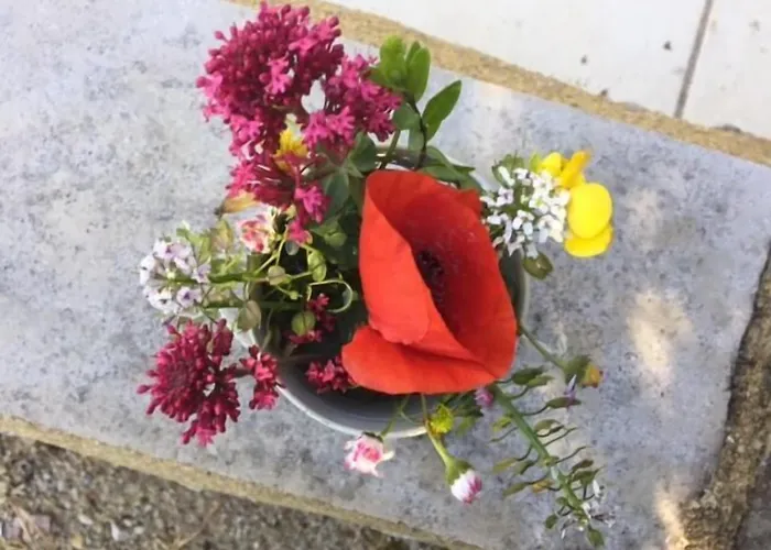 Bergerie De Lagarrigue